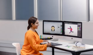 ENSEÑANZA ONLINE